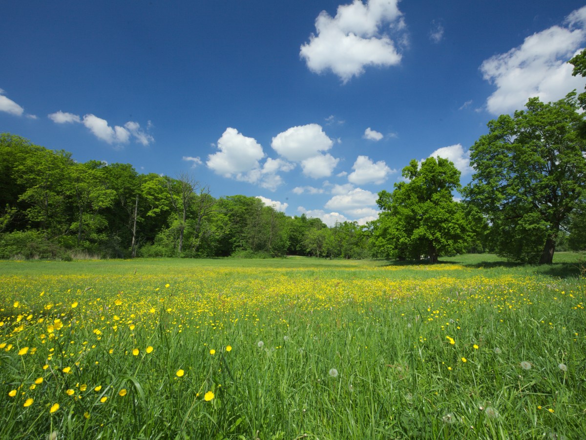 Über das, worüber wir Kontrolle&nbsp;haben