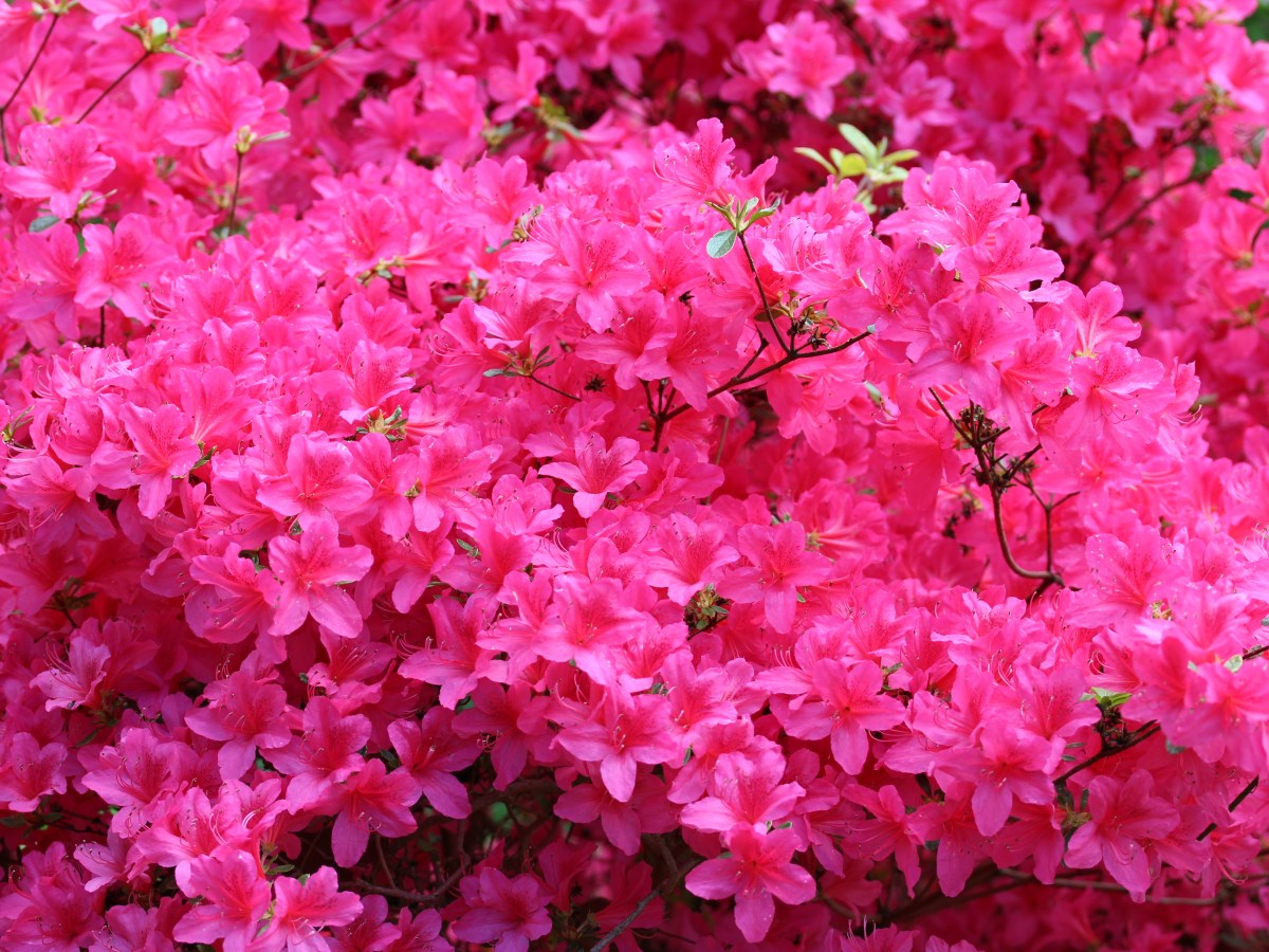 Lebensphilosophie ist zu drei Teilen Argumentation und zu sieben Teilen&nbsp;Einübung