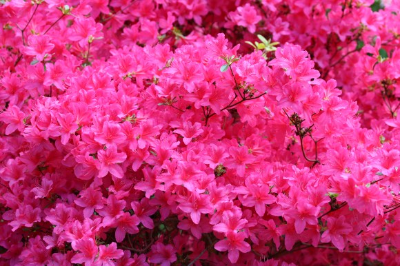 Lebensphilosophie ist zu drei Teilen Argumentation und zu sieben Teilen&nbsp;Einübung