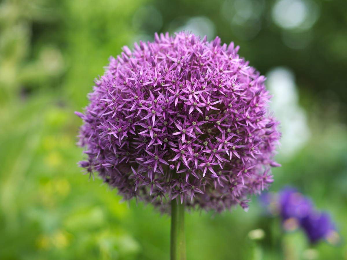 Der innere Mensch ist&nbsp;wandelbar