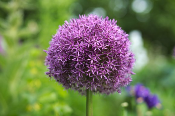 Der innere Mensch ist&nbsp;wandelbar